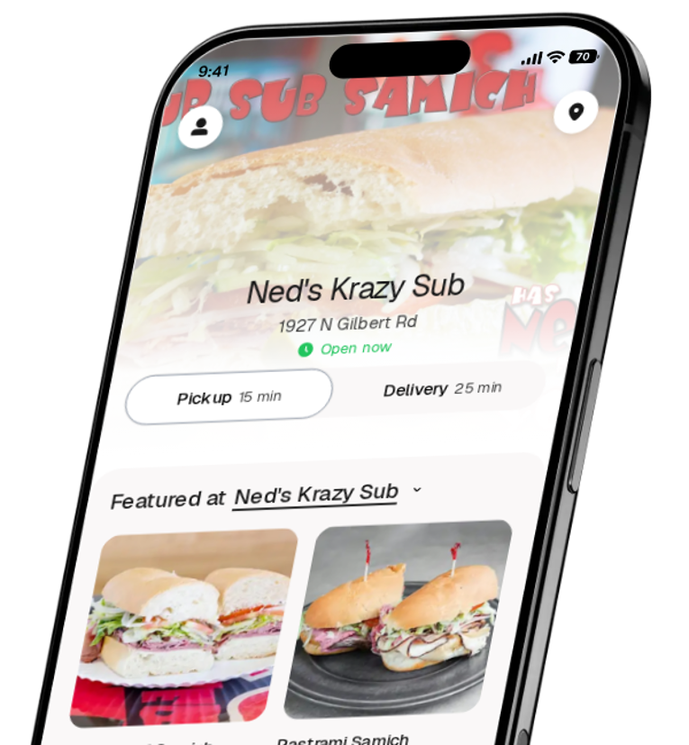 Ned's Krazy Sub app preview